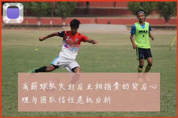 高薪球队失利后互相指责的背后心理与团队信任危机分析