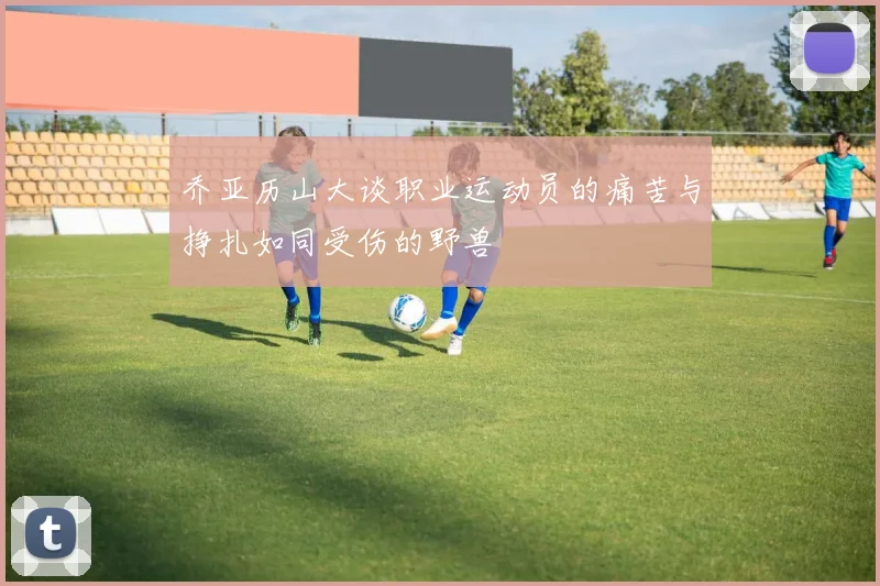 乔亚历山大谈职业运动员的痛苦与挣扎如同受伤的野兽