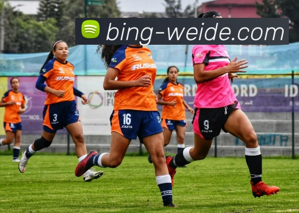 伟德体育APP 高清赛事图